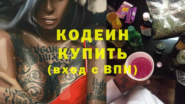 хмурый Абаза