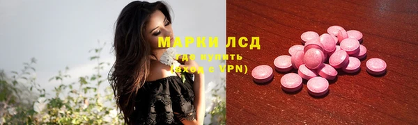 хмурый Абаза