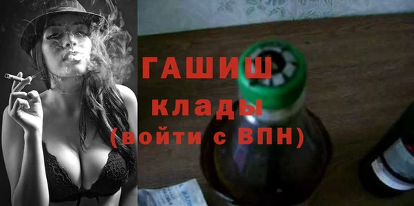 хмурый Абаза
