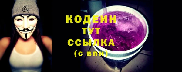 хмурый Абаза