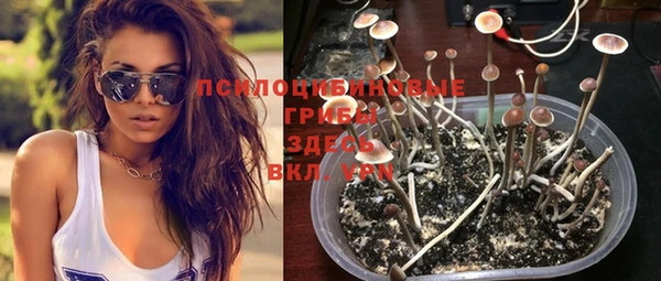 не бодяженный Абинск