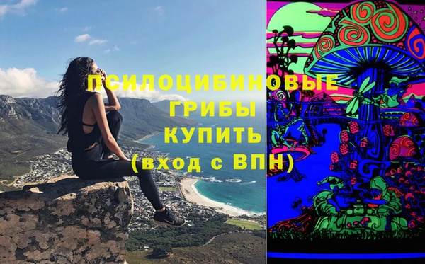хмурый Абаза