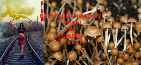 хмурый Абаза